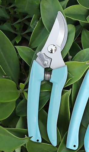 Blue Garden Flower Shears Pruning Shears 6.9 inches Scissors Heavy Duty Plant Scissors for Cutting Flowers, Trimming Plants, Bonsai, Fruits Picking (Blue Handle) - style: Blue Handle