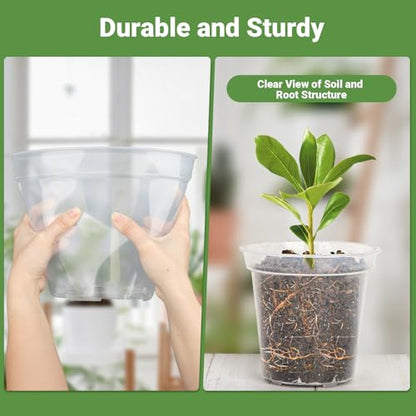 GREANER Clear Plastic Plant Pots, Orchid Pots with Holes and 20 Pcs Plant Labels, 5/6/7/8/9/10 Inch(Pack of 15) - color: 15pcs/Clear, size: 5/6/7/8/9/10inch