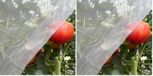 Garden Netting 4x10ft for Plants - Ultra Fine Mesh Bug Insect Barrier (Pack of 2) - size: 4'x10' (Pack of 2)
