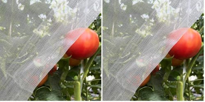 Garden Netting 4x10ft for Plants - Ultra Fine Mesh Bug Insect Barrier (Pack of 2) - size: 4'x10' (Pack of 2)