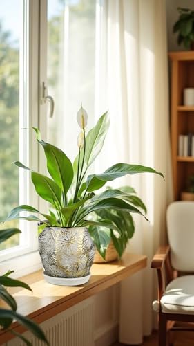Oairse 6 +5 inch Ceramic Planter Pots Set of 2 Small Round Flower Pots with Drainage Hole and Ceramic Tray for Succulents Cactus Indoor Outdoor Garden Home Windowsill - color: Gold