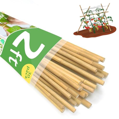 Bamboo Garden Stakes 2ft, 2 Feet Plant Stakes 30 Pack for Outdoor Indoor Plants, Support Tomato, Vegetables Beans, Flowers, Potted and More Climbing Plants - size: 2FT, pack of 30