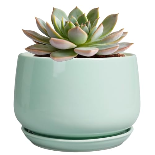 G EPGardening Ceramic Plant Pots, 6 Inch Pot for Plants, Green - color: Mint Green, size: 5 Inch