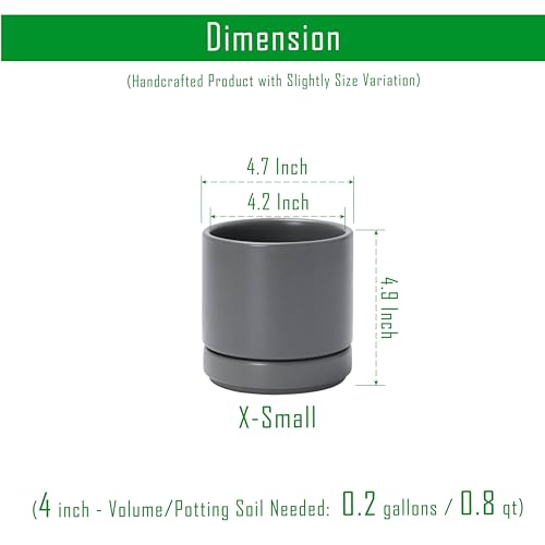 D'vine Dev 2-Pack Ceramic Pots with Saucers, Grey, 4.7 in, 94-V-B-3 - color: Gray, size: 4.7 Inch