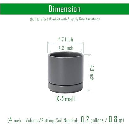 D'vine Dev 2-Pack Ceramic Pots with Saucers, Grey, 4.7 in, 94-V-B-3 - color: Gray, size: 4.7 Inch