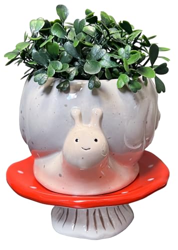 Streamline Imagined Ceramic Planter Pot - Snail & Mushroom - color: Snail & Mushroom