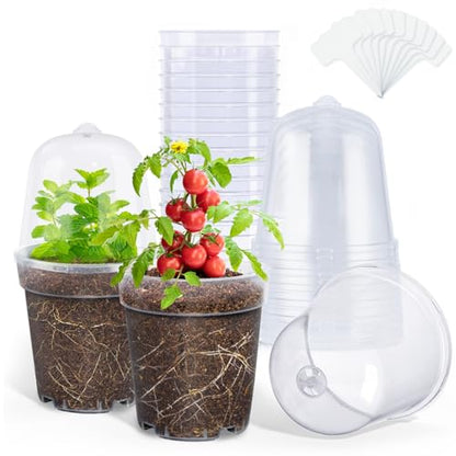 homenote 5 Inch Clear Nursery Pots with Humidity Domes and Labels (15 Pcs) - color: Transparency-with Lid, size: 5 Inch-15 Pack