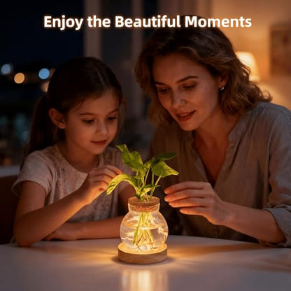 Plant Propagation Station with Light,Everkeen Valentines Day Glass Terrarium with Stepless Dimming Function Hydroponic Glass Container Vase Jars Gardening Gifts for Mom Women Plant Lovers - color: Clear 1 Pack