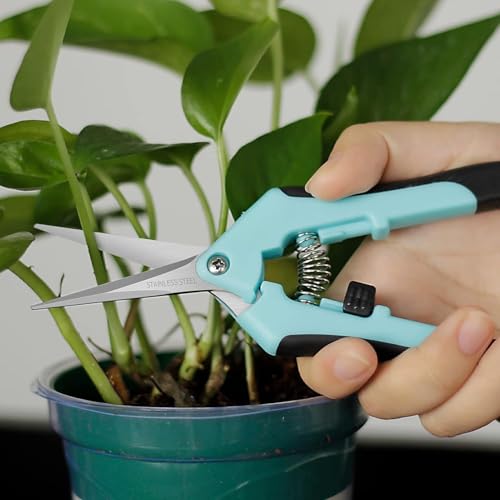 1PC Pruning Shears, Titanium Coated Garden Trimming Scissors with Coil Spring, Precision Gardening Hand Pruning Snips for Bonsai, Flowers, Plants Cutting (sky blue,straight blade) - color: Sky Blue