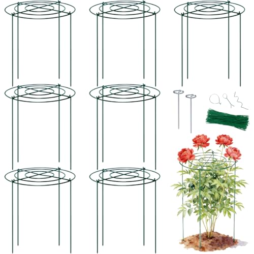 Lancisism 8 Pack Peony Cages and Supports - Heavy Duty Grow Through Metal Plant Support for Outdoor Plants - Plant Support Frame Ring for Rose Tomato Hydrangea Sage Strawberry 12" D x 16" H