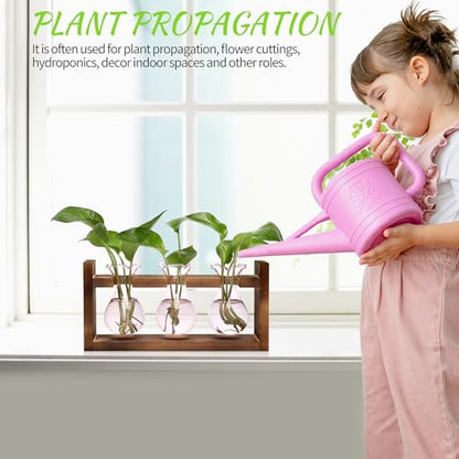 Plant Propagation Station Plant Terrarium Unique Birthday Gifts for Women - color: Pink