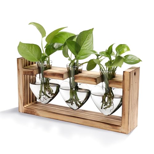 KOCASO Plant Propagation Station, Plant Terrarium with 3 Heart Shaped Vases & Wooden Stand, Desktop Glass Vase for Hydroponic Plants, Home Office Garden Decor Planter Gift for Plant Lovers