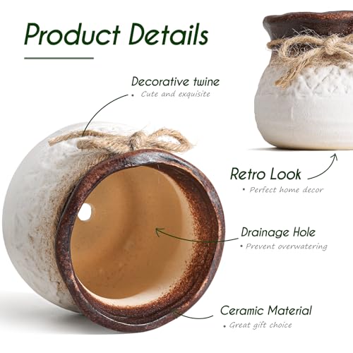 T4U Small Ceramic Pots with Drainage Hole, 3.5 Inch Cute Planters for Indoor Cactus and Succulent Plants, Gift for Women, Mom, Plant Lover, Home Decor - color: White+brown