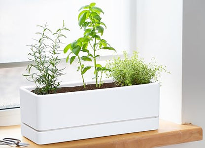 D'vine Dev Rectangular Planter, 12 x 4.5 in, White, Set of 1, 76-X-A-1 - color: White