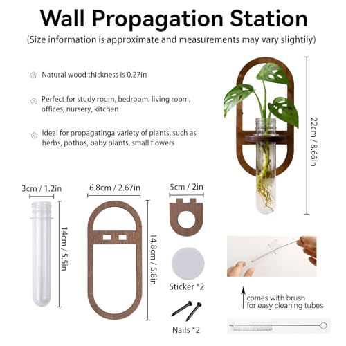 Artilady Plant Propagation Station Wall Hanging, Planter Terrariums Tube - color: Oval