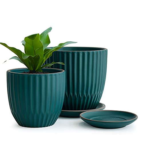 D'vine Dev 2-Pack Stoneware Planter Pots, 4.5/5.8 in, Deep Teal, 99-D-4 - color: Dark Blue Green