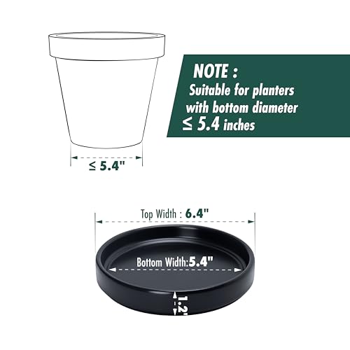 D'vine Dev Ceramic Plant Saucer/Drainage Tray, 5.4 in, Black, 97-T-B-2 - color: Black, size: 5.4" (1 Pack)