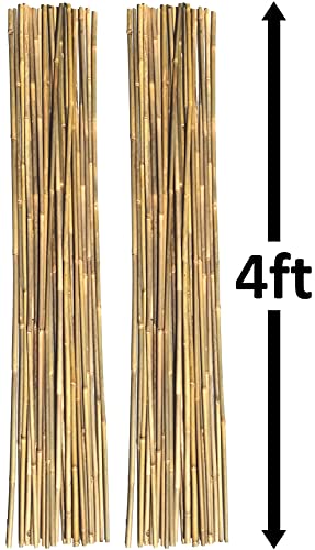 Natural Bamboo Poles, Eco-Friendly Plant Support Garden Stakes 4ft Long, Diameter of 3/8" (50-Count)