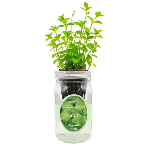 Hydroponic Herb Growing Kit, Self-Watering Mason Jar Herb Garden Starter Kit Indoor, Grow Your Own Herbs from Seeds (Catnip)