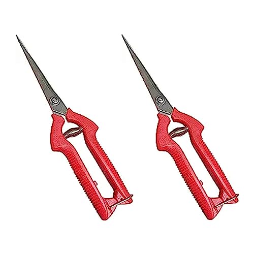 Garden Guru Extra Long Stainless Steel Pruner Pruning Shears Clippers Snips Sharp Bonsai Cutter Plant Trimming Scissors Straight Blade Garden Scissors Tool Great for Roses Flowers Herbs Fruits(2 Pack) - size: 2 Pack, style: Long Blade Snips