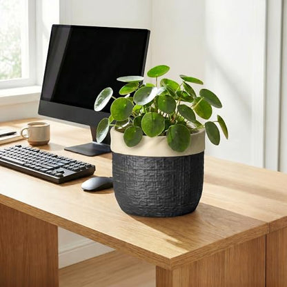 8 Inch Planter, Ceramic Pots for Plants, Round Flower Pot, Black - color: Black, size: 8 Inch