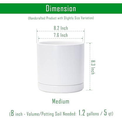 D'vine Dev 8.2 Inch Ceramic Planter Pot, White, 94-O-D-1 - color: White, size: Medium