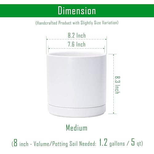 D'vine Dev 2-Pack Ceramic Pots with Saucers, White, 8.2 in, 94-V-D-1 - color: White, size: 8 Inch