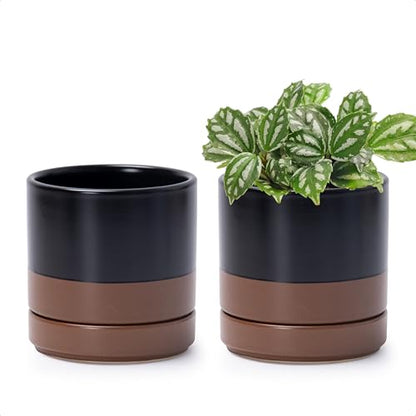 D'vine Dev 2-Pack Ceramic Pots with Saucers, Black/Tan, 4.7 in, 94-V-B-7 - color: Black/Speckled Tan, size: 4.7 Inch