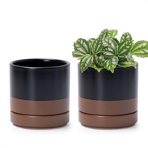D'vine Dev 2-Pack Ceramic Pots with Saucers, Black/Tan, 4.7 in, 94-V-B-7 - color: Black/Speckled Tan, size: 4.7 Inch