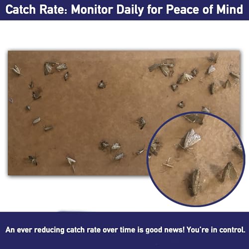 Clothes Moth Trap Replacement Strips (6 Strips in Total) - Refills for MothPrevention Moth Traps - for Closets & Clothing