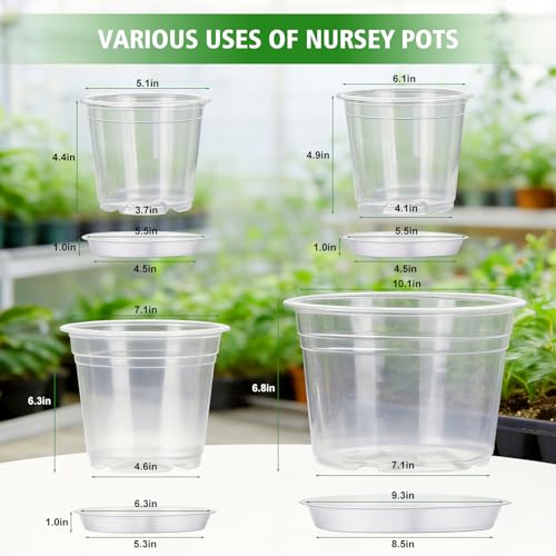 5/6/7/10 Inch Clear Nursery Pots with Drainage Holes and Saucers, 12 Pack Large Plastic Plant Pots for Seedlings, Succulents, Herbs, Flowers & Vegetables, Repotting and Growing
