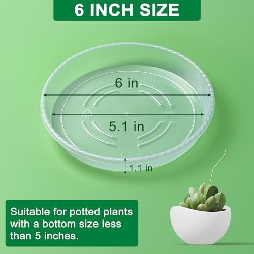 Plant Saucer Tray, 6 Pack 6 Inch Plastic Plant Saucers for Indoor Outdoor - size: 6 INCH