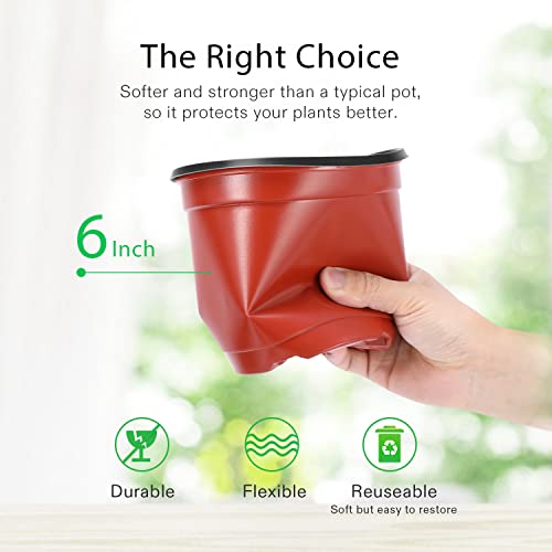 VIVOSUN 50 Pcs 6 in Plastic Plant Nursery Pots, Seed Starting Pots - size: 6 inch