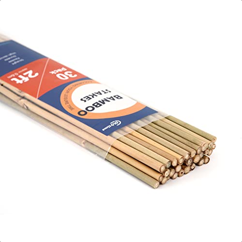 COLOtime Bamboo Stakes 2FT Garden Plant Stakes for Indoor Plants 30 Pack - size: 2ft, 30 Pack