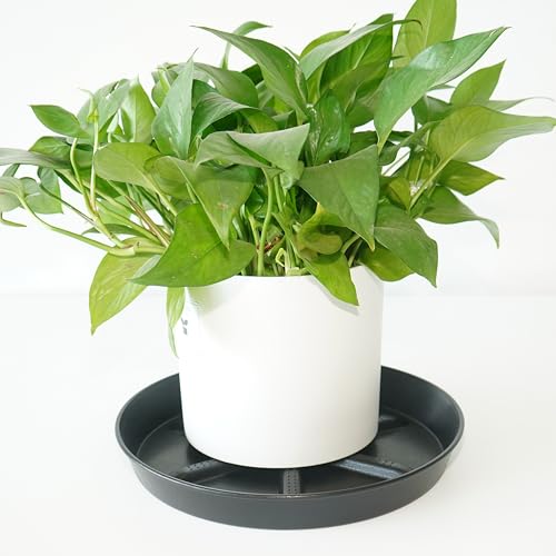 NIMYAU Plant Saucer 14 Inch 2 Pack Round,Thick Plastic with Elevated Center Plant Saucers, Excellent Drainage Drip Tray Catcher for Garden Planters - color: Black, size: 14" (4-Pack)