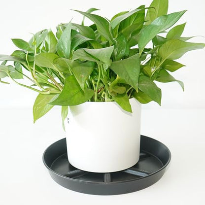 NIMYAU Plant Saucer 14 Inch 2 Pack Round,Thick Plastic with Elevated Center Plant Saucers, Excellent Drainage Drip Tray Catcher for Garden Planters - color: Black, size: 14" (4-Pack)