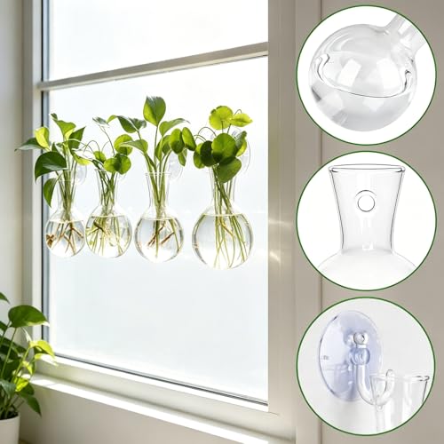 8 Pack Window Propagation Stations, Plastic Plant Terrarium Vases - size: 8 Pcs
