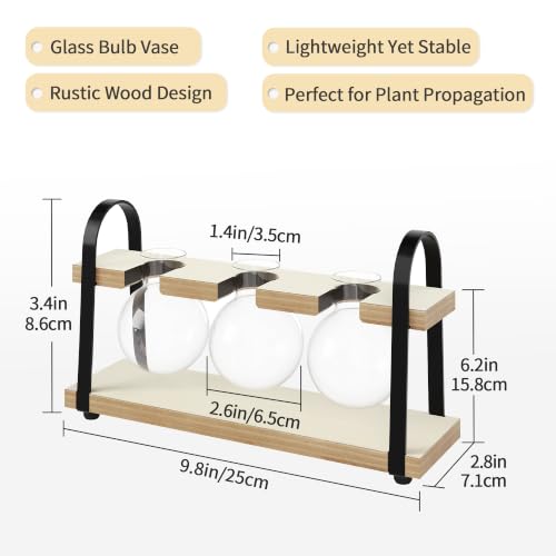 3-Bulb Plant Propagation Station, Glass Vase Terrarium, Retro White - color: White