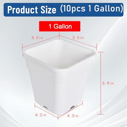 WFLNHB 1 Gallon 10 Pcs Square Plastic Plant Pots Flexible Nursery Pot Planter Nursery Pots Suitable for Flower Vegetables Succulents White - color: White, size: 1 Gallon-10 Pcs