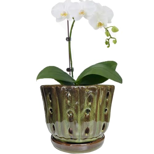 Ceramic Orchid Pots with Drainage Hole 6'' (mossgreen) - color: Mossgreen