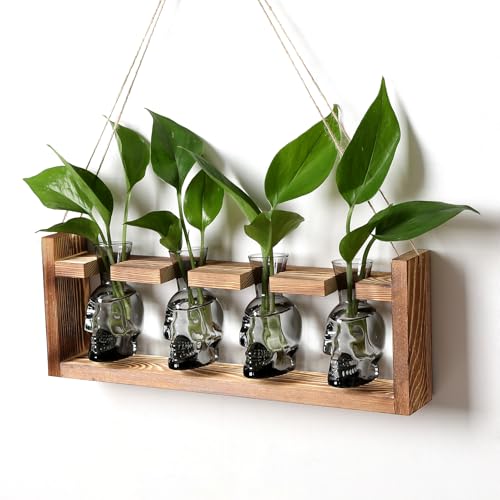 Plant Propagation Stations Halloween Skull Plant Terrarium Kit - color: Gray