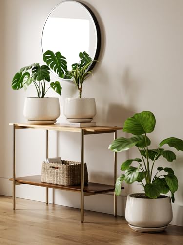 LE TAUCI Ceramic Planter, 12 Inch, Large Plant Pot, Reactive Glaze Beige - color: Reactive Glaze Beige, size: 12"