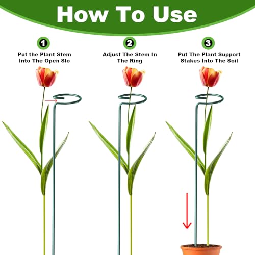 Fabulas 24 Pack Plant Support Stakes, 16 Inch Metal Garden Plant Stakes Single Stem Support Rings for Indoor Outdoor Amaryllis, Flowers Orchid, Lily, Peony, Rose, Tomato, Monstera, Narcissus