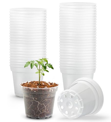 BTPLASTIK 50 Pack 3 Inch Clear Nursery Pots with Drainage Hole, Small Transparent Seed Starter Pots, Sturdy Plastic Plant Pot for Planting Seedlings Vegetables Flowers (3Inch-50P) - size: 3 Inch-50P