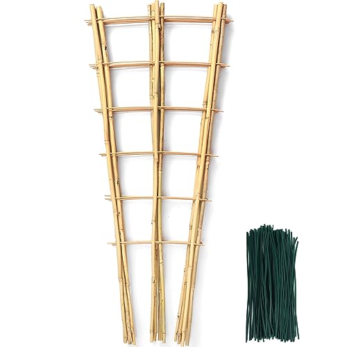 SWANGSA 6 Pack 3Ft Bamboo Trellis for Climbing Plants,35.5 Inch Fan-Shaped Bamboo Plant Trellis with 100pcs Twist Ties for Outdoor and Indoor Potted Plants Garden Stakes - size: 3ft