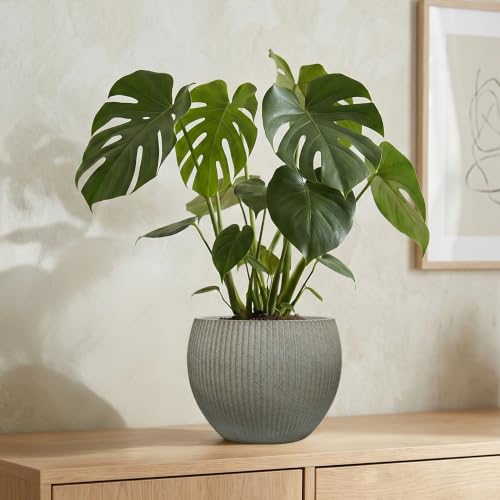 10.2"Dia x 7.8"H Modern Ribbed Plastic Planter Pot with Drainage - color: Vintage Sandstone-10.2"d X 7.8"h