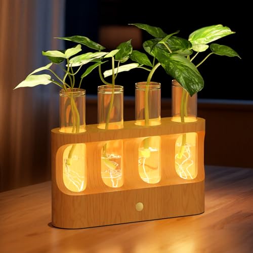 Lightalent Rechargeable Plant Propagation Station, LED Hydroponic Terrarium