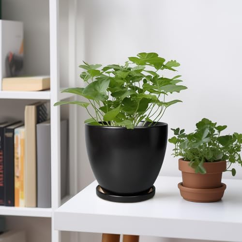 Ceramic Pots for Plants - 6.8 Inch Plant Pot with Drainage Hole and Saucer, Succulent Round Flower Planters for Indoor, Home Decor, Black - color: Matte Black, size: 6 Inch