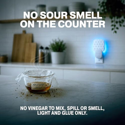 Catchmaster Fruit Fly Trap Plug in, Indoor Flying Insect & Gnat UV Light