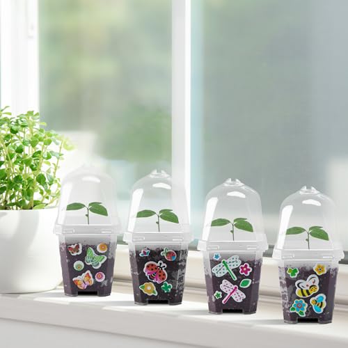 EBaokuup 10 Pack 3 Inch Clear Plant Nursery Pots with Humidity Domes - color: 10pcs-color, size: 3 Inch